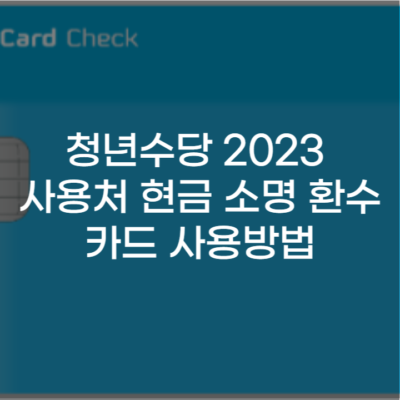 청년수당 2023 사용처 현금 소명 환수 카드 사용방법